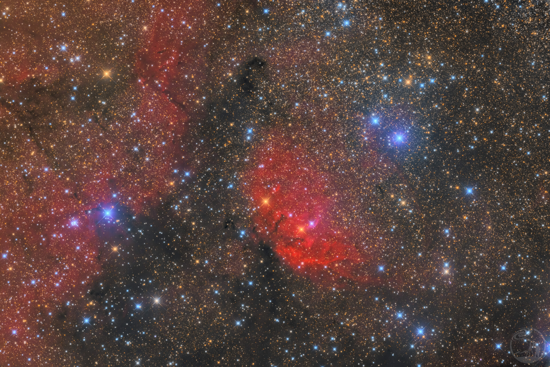 SH2-101/郁金香星云