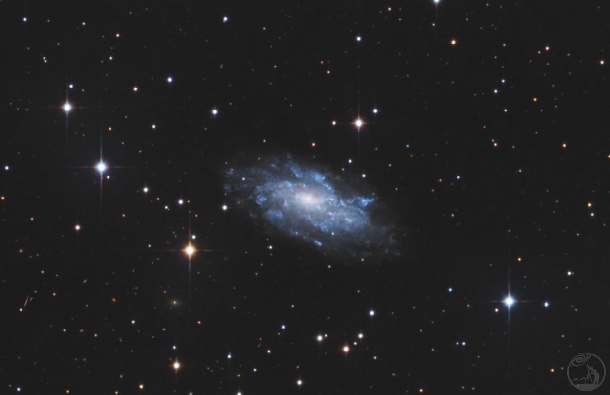 那些没有人发的小星系NGC2541