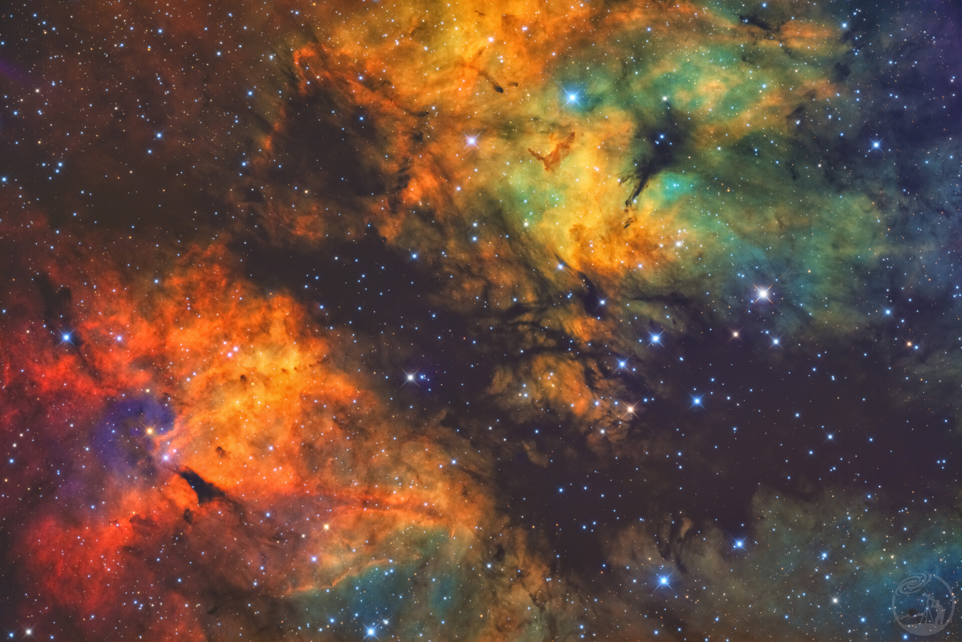 IC1318天鹅心💕