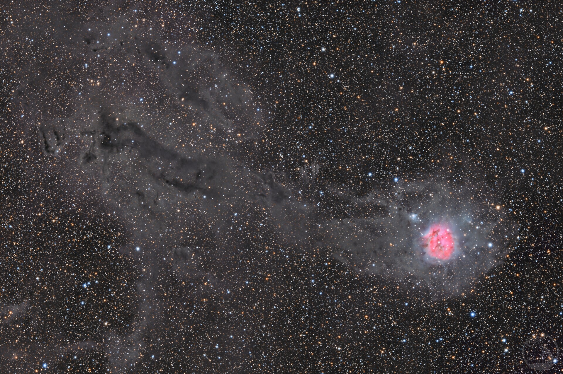 IC 5146 茧星云