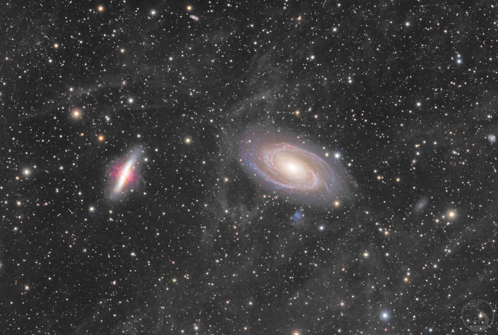 m81&m82&ifn