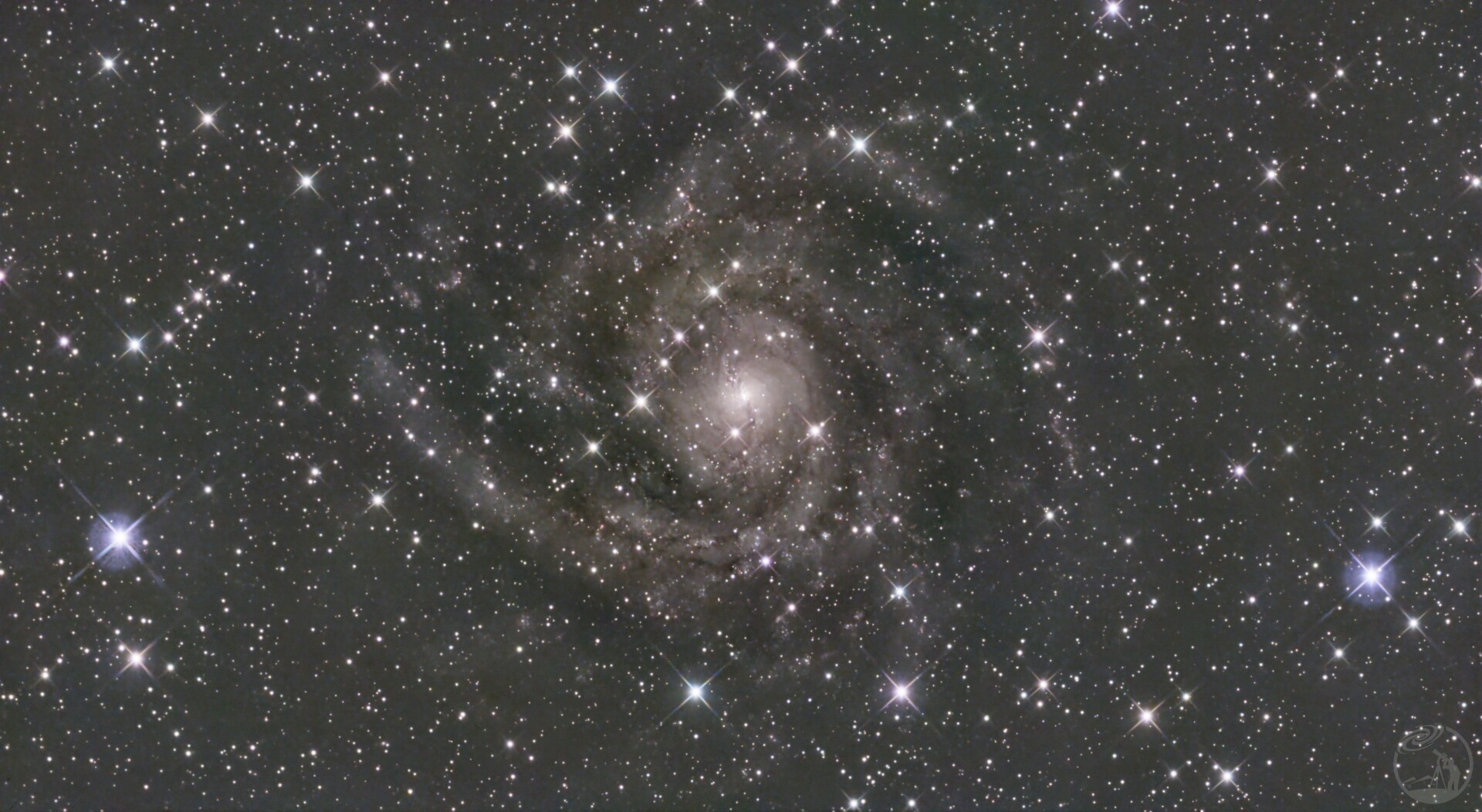 IC342 galaxy