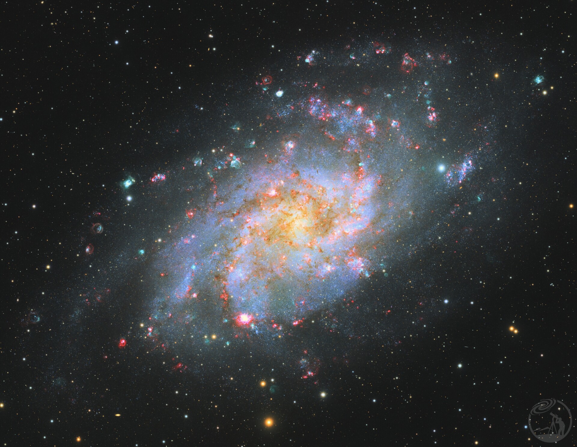 M33