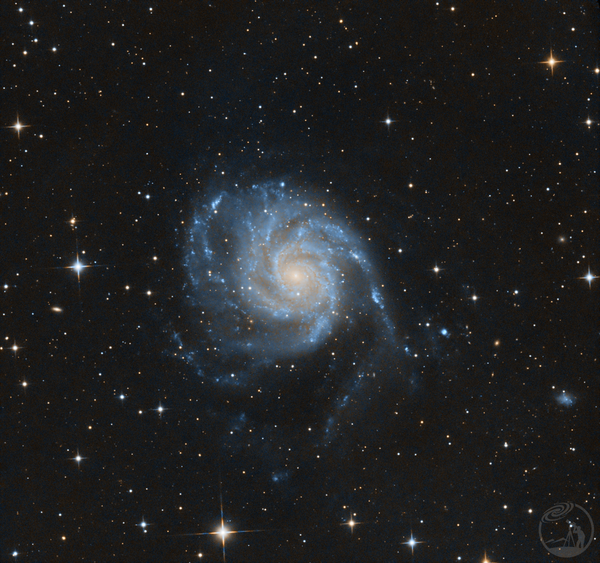 M101