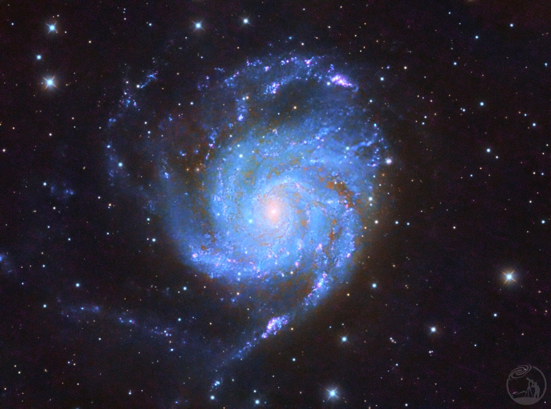 m101