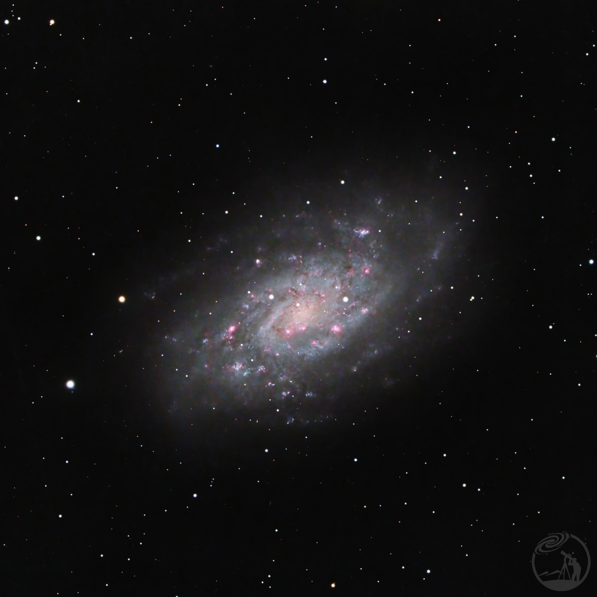 NGc2403