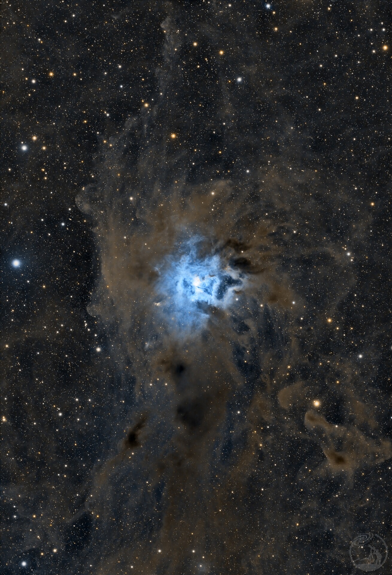 鸢尾花NGC7026