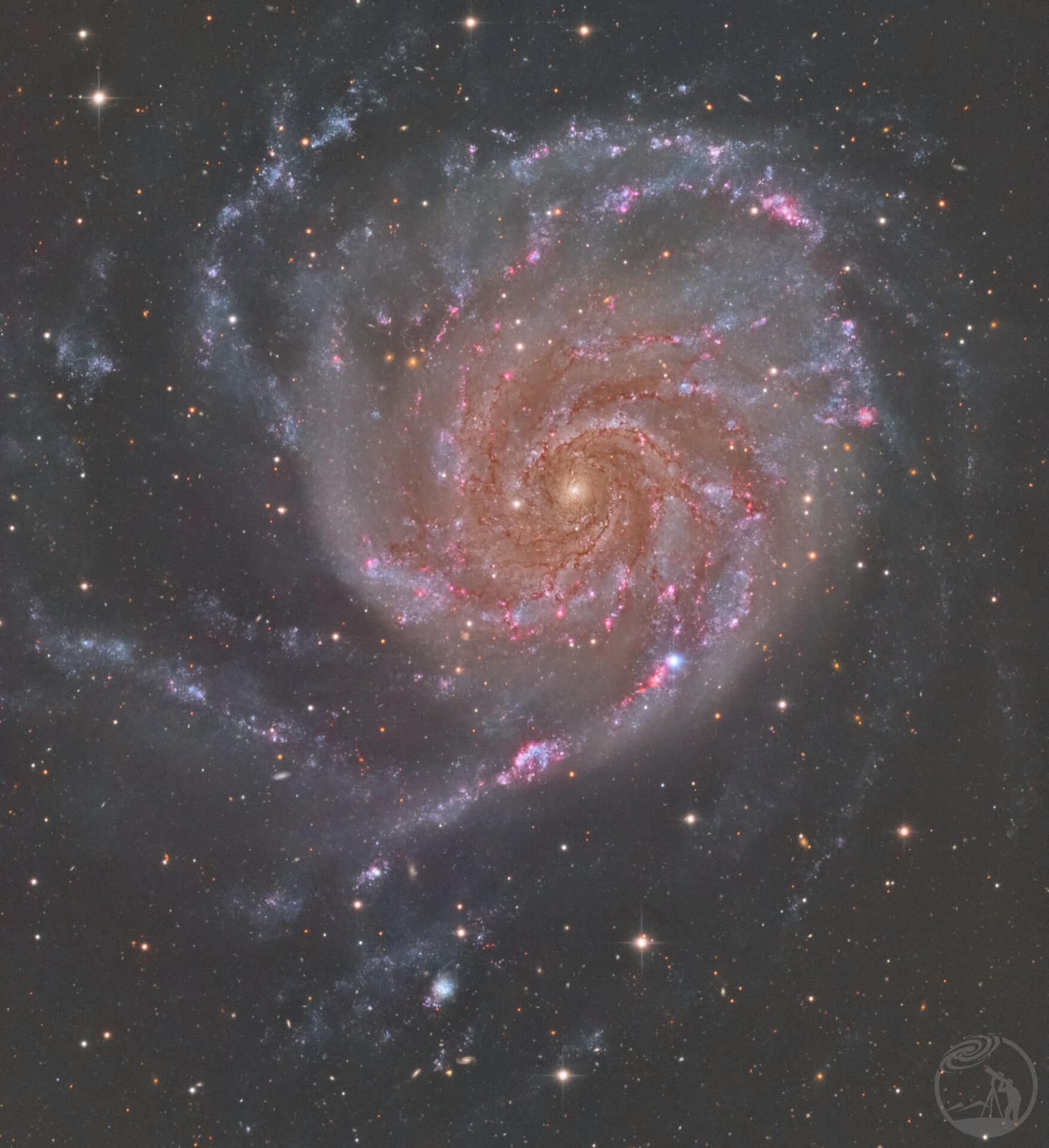 奇奇怪怪的M101