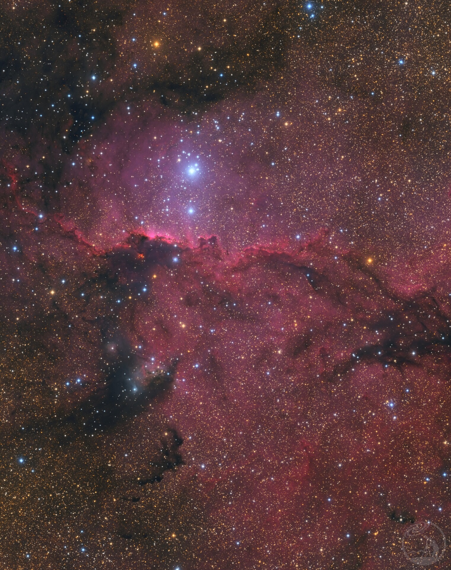 NGC6188/天坛之龙