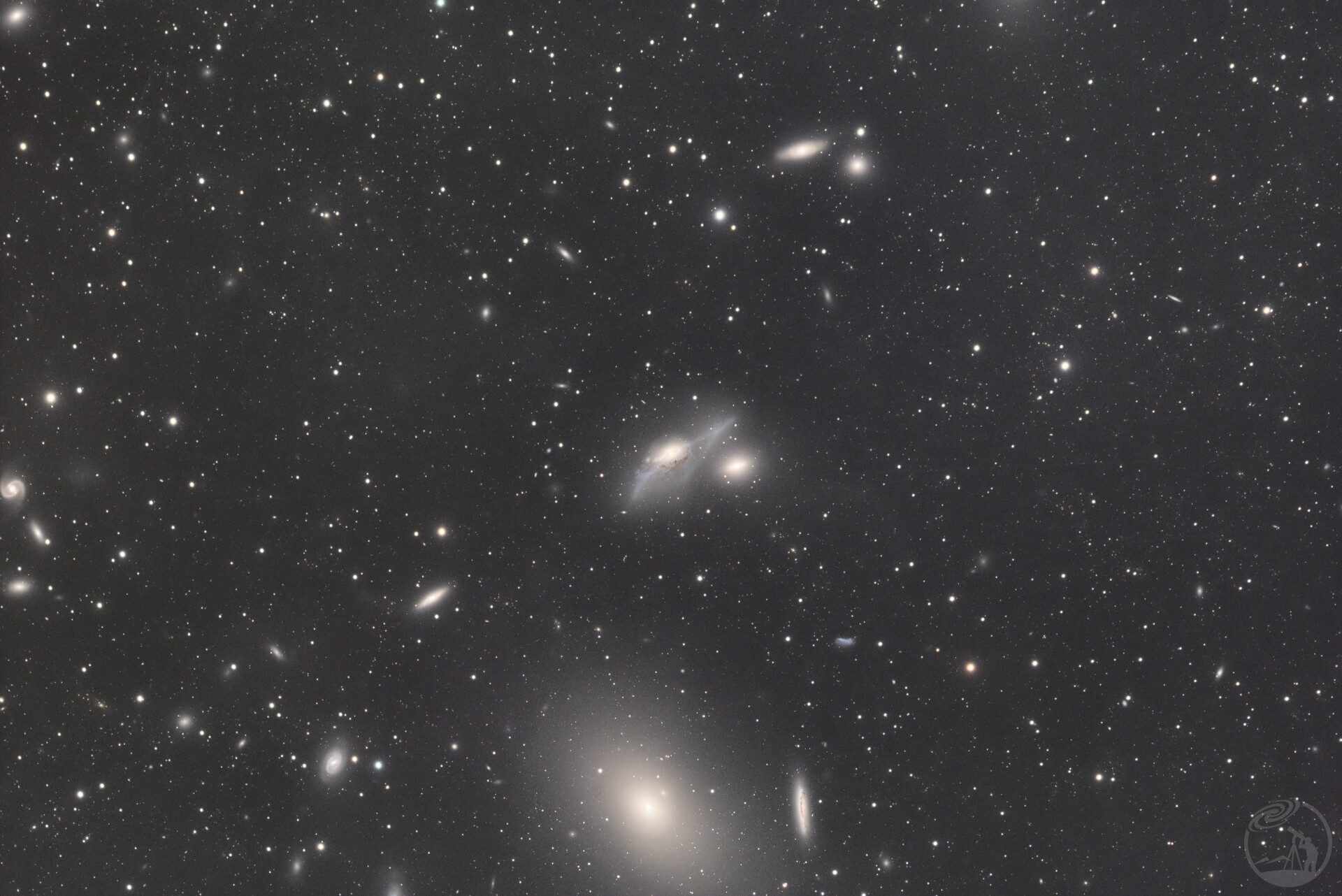 马卡良星链