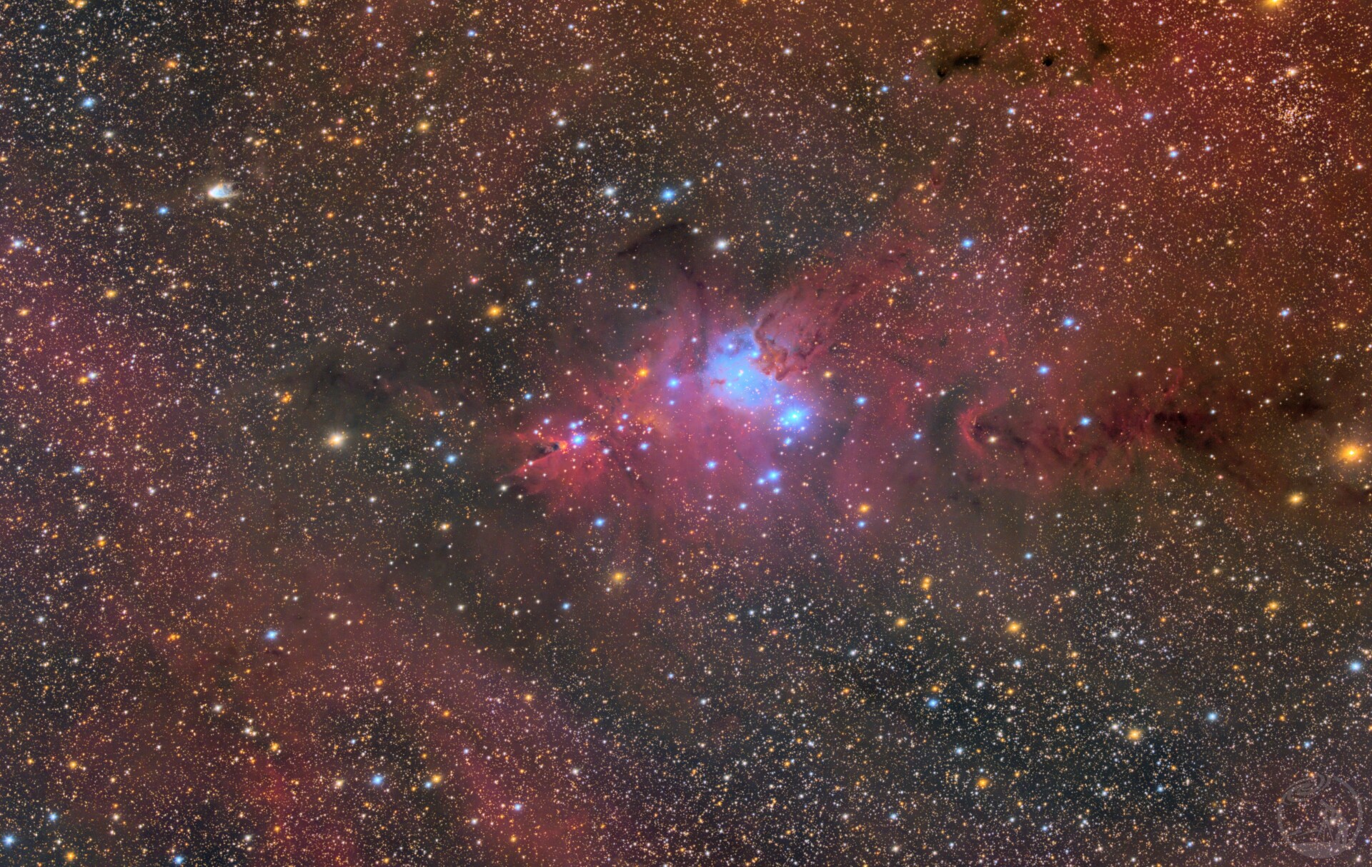 ngc2264剩蛋树