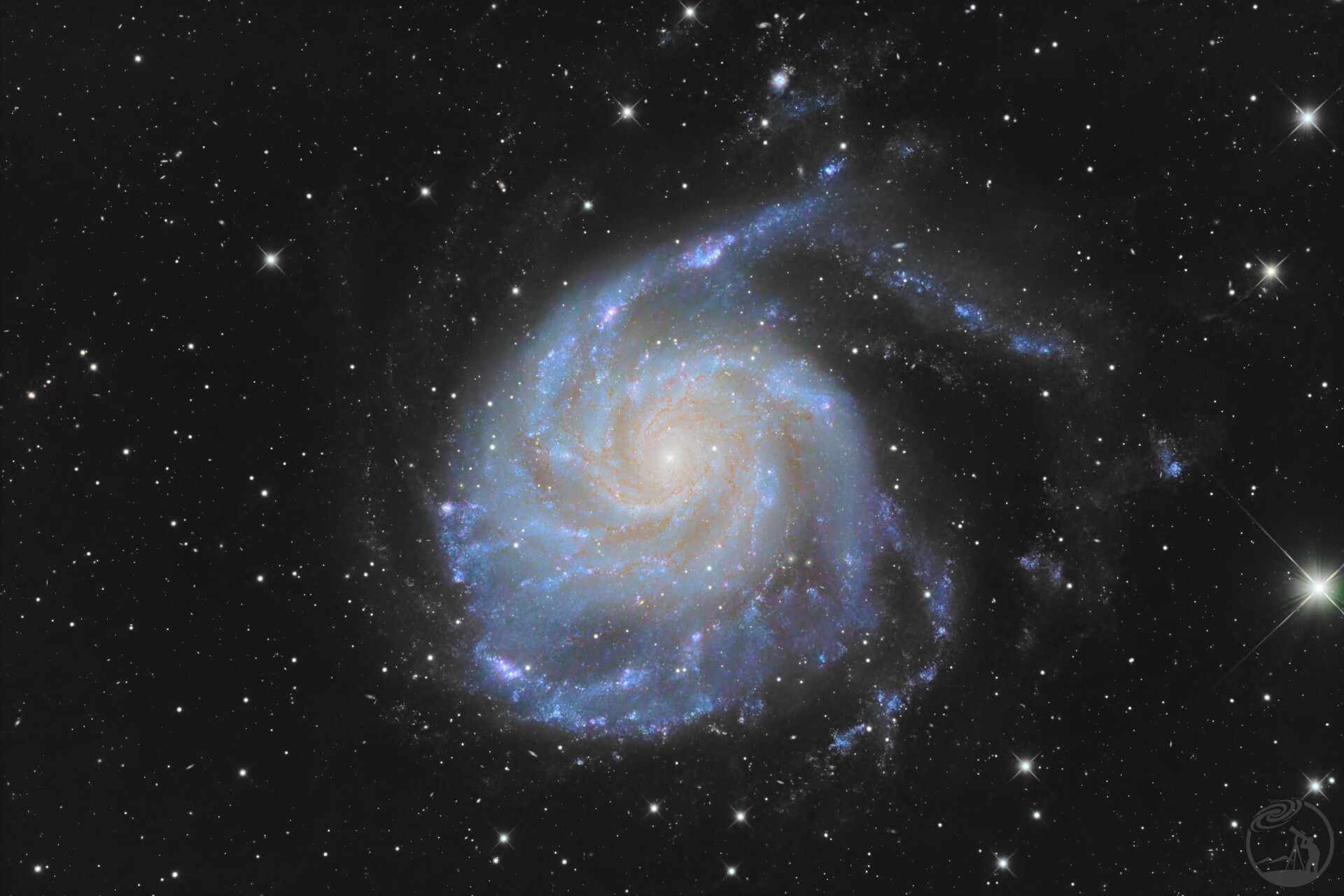 M101