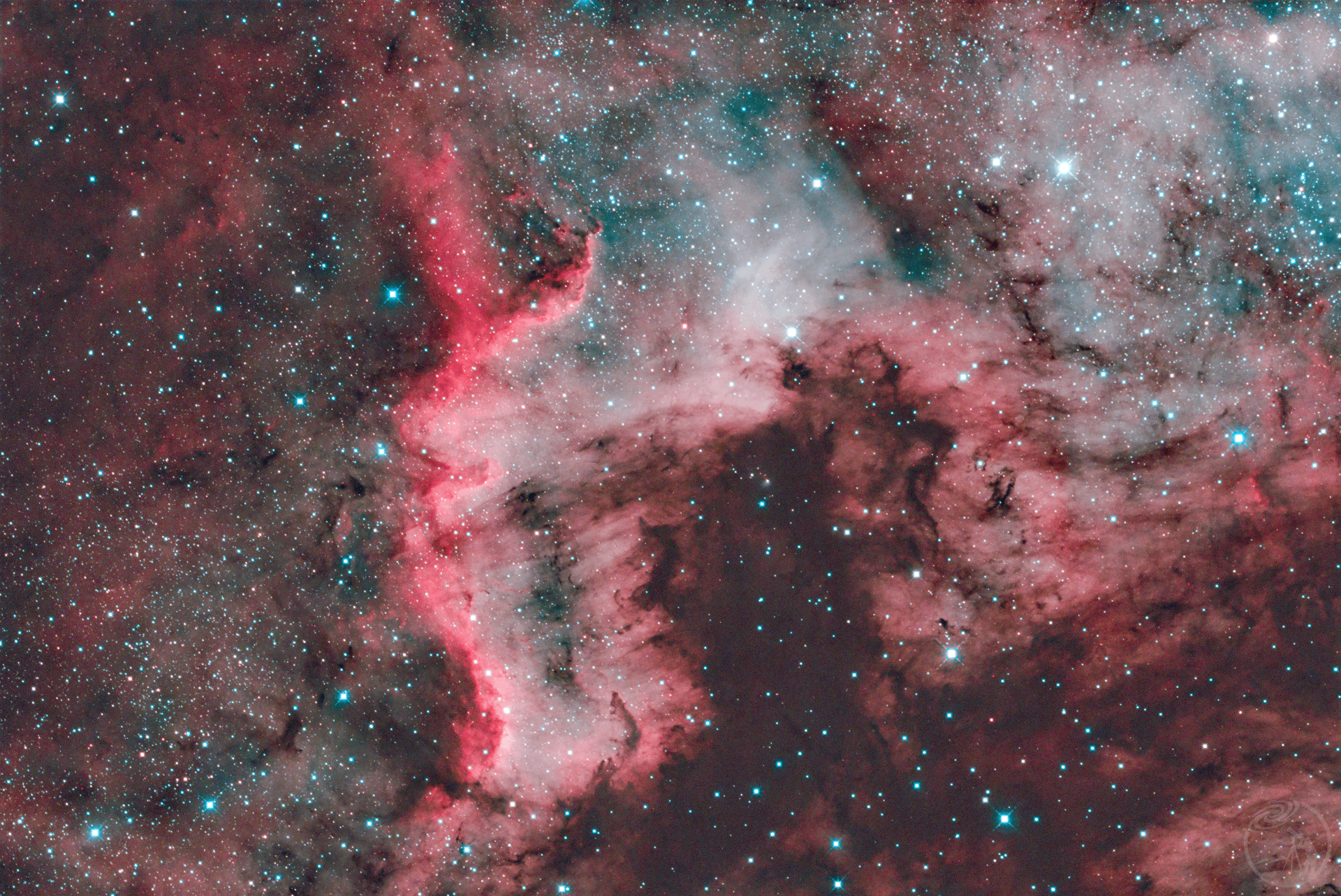 NGC7000北美洲星云