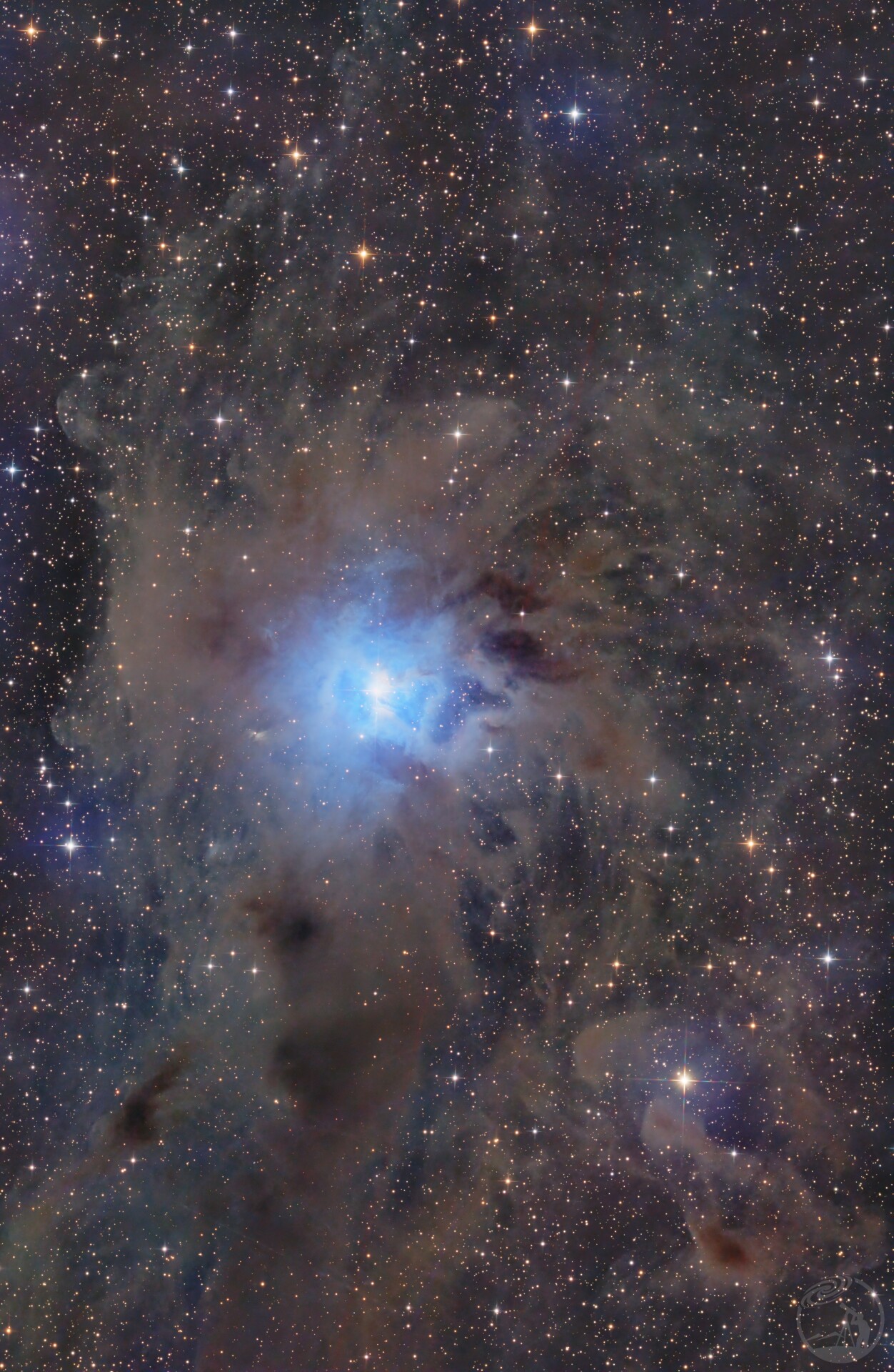 NGC7023鸢尾花星云