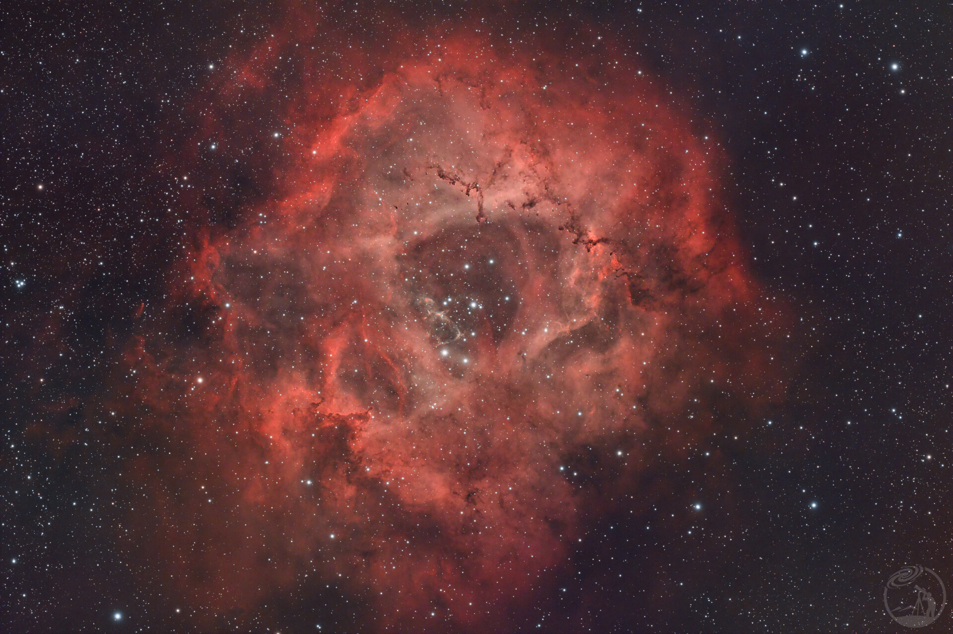 难产的玫瑰星云