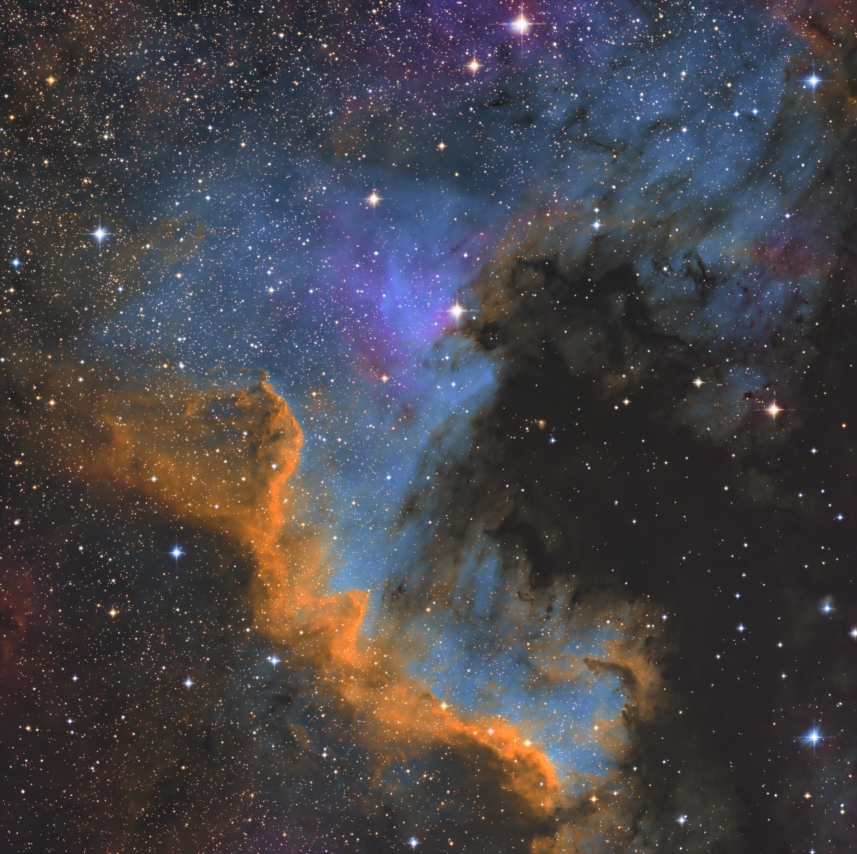 ngc7000sho
