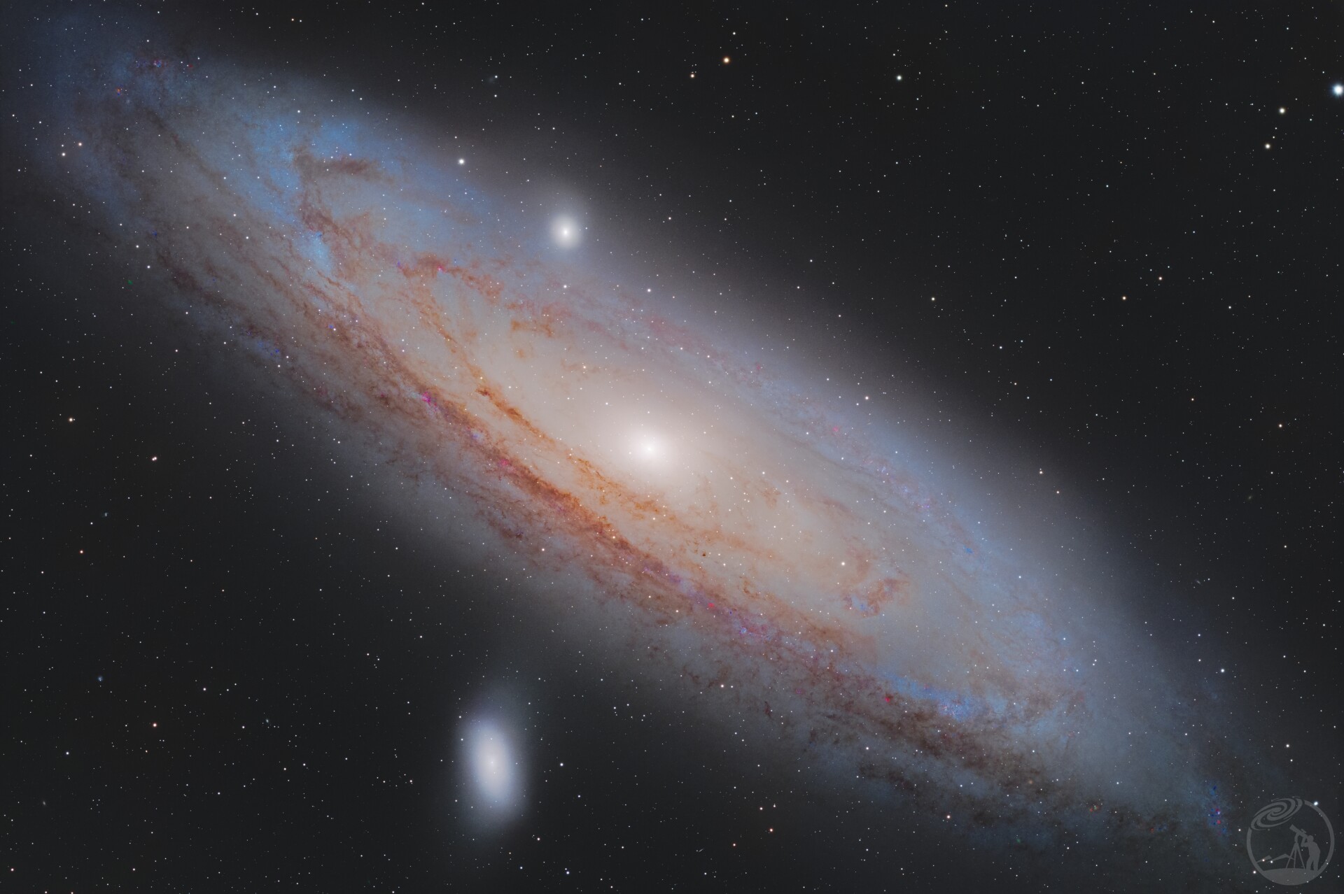 M31