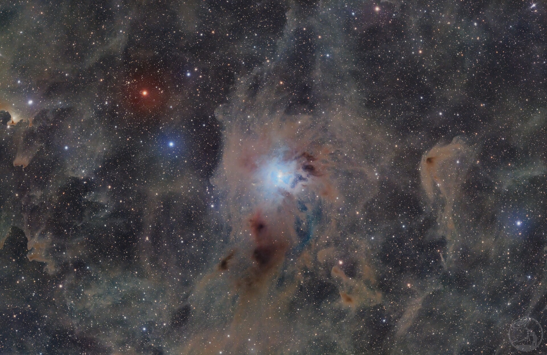 NGC7023 鸢尾花