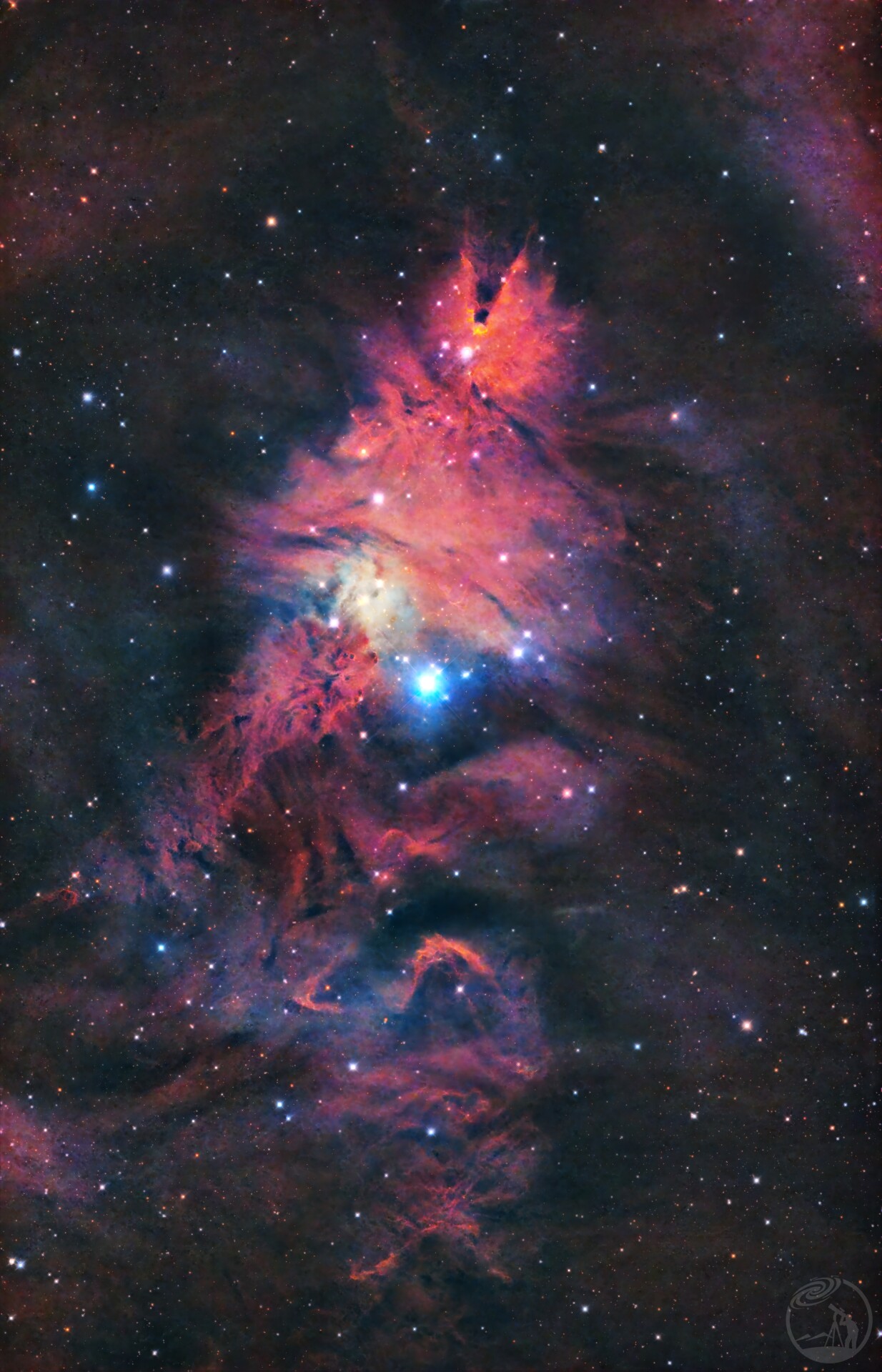 NGC2264 圣诞树星云