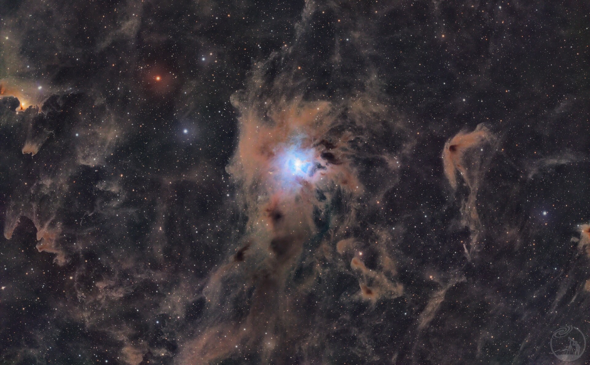 NGC7023 鸢尾花