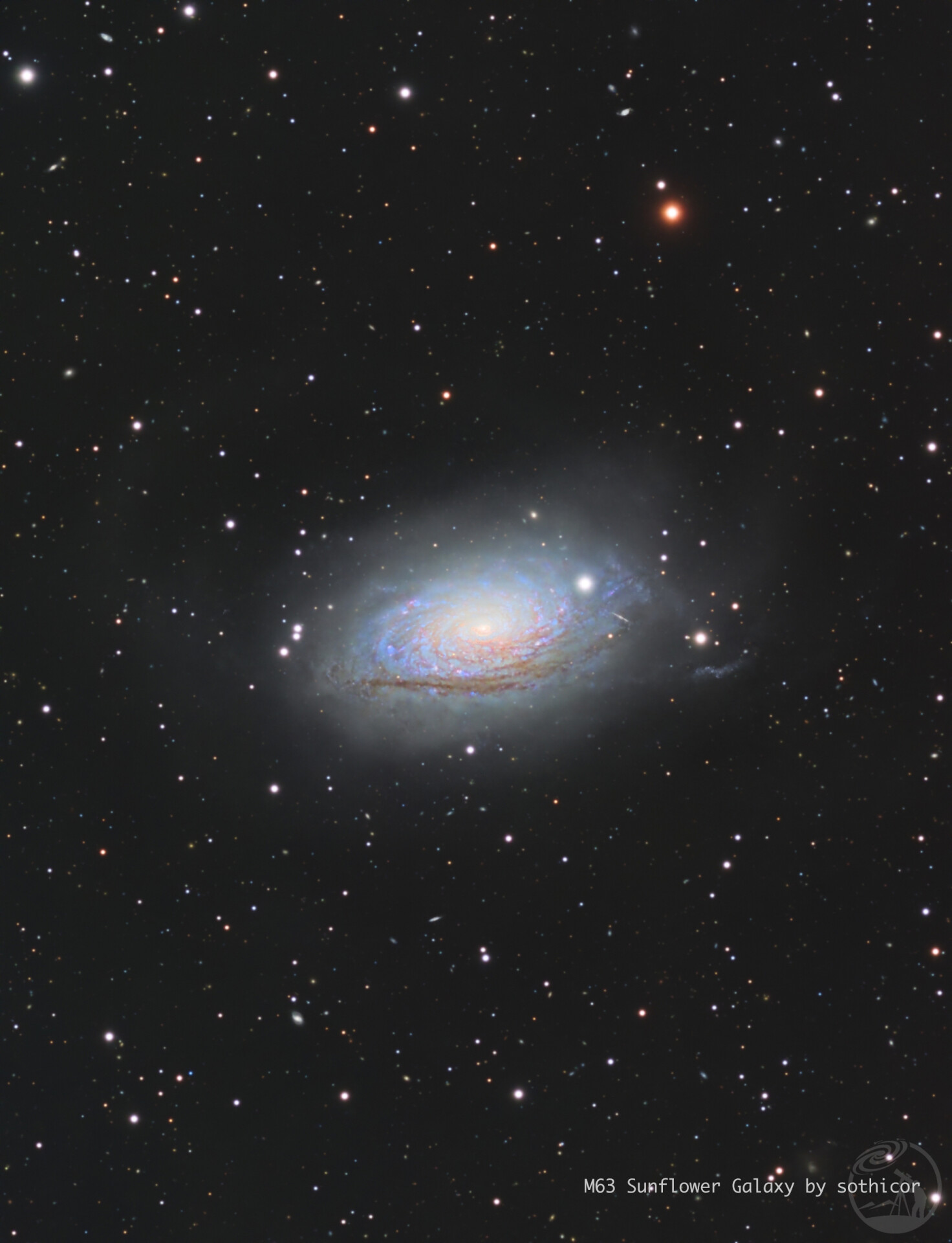 M63｜向日葵星系