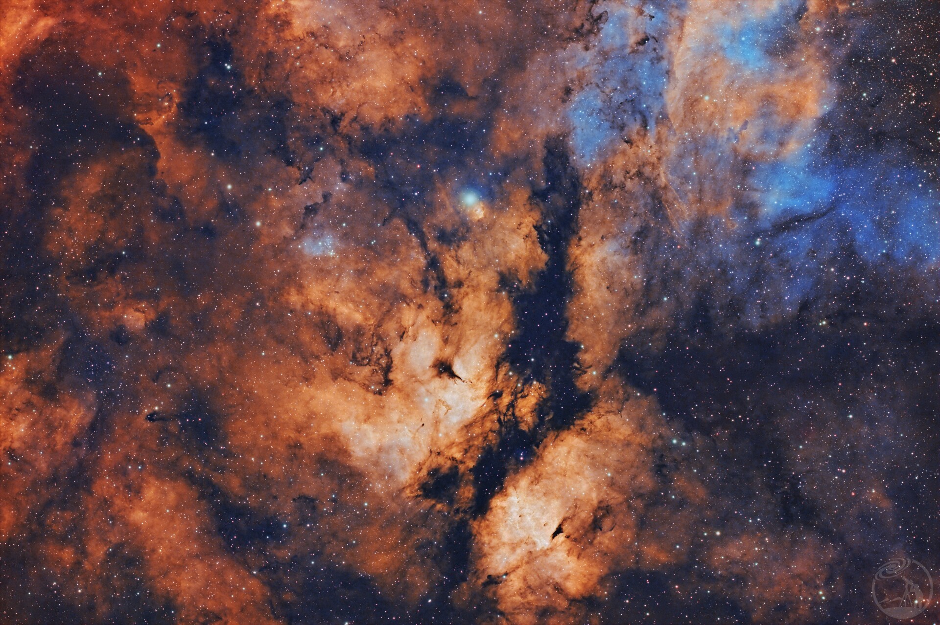 IC1318 天鹅之心