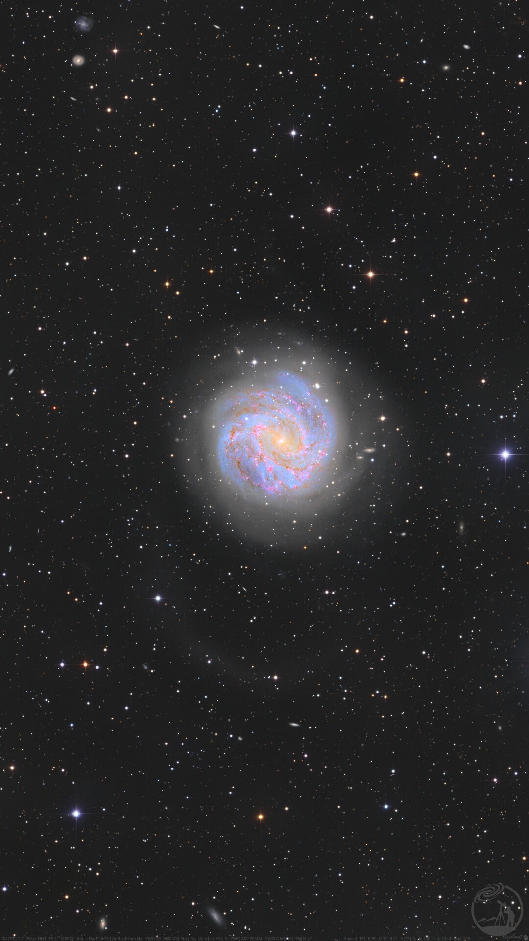 M83星系晕和外环