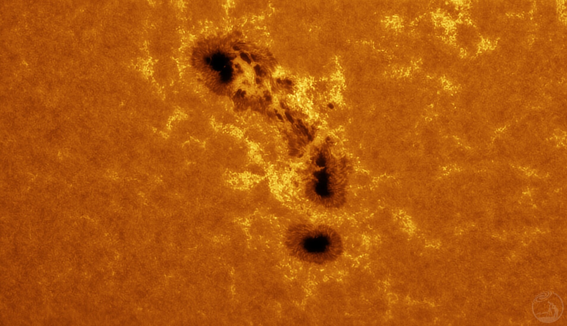 黑子群AR3712 6-18