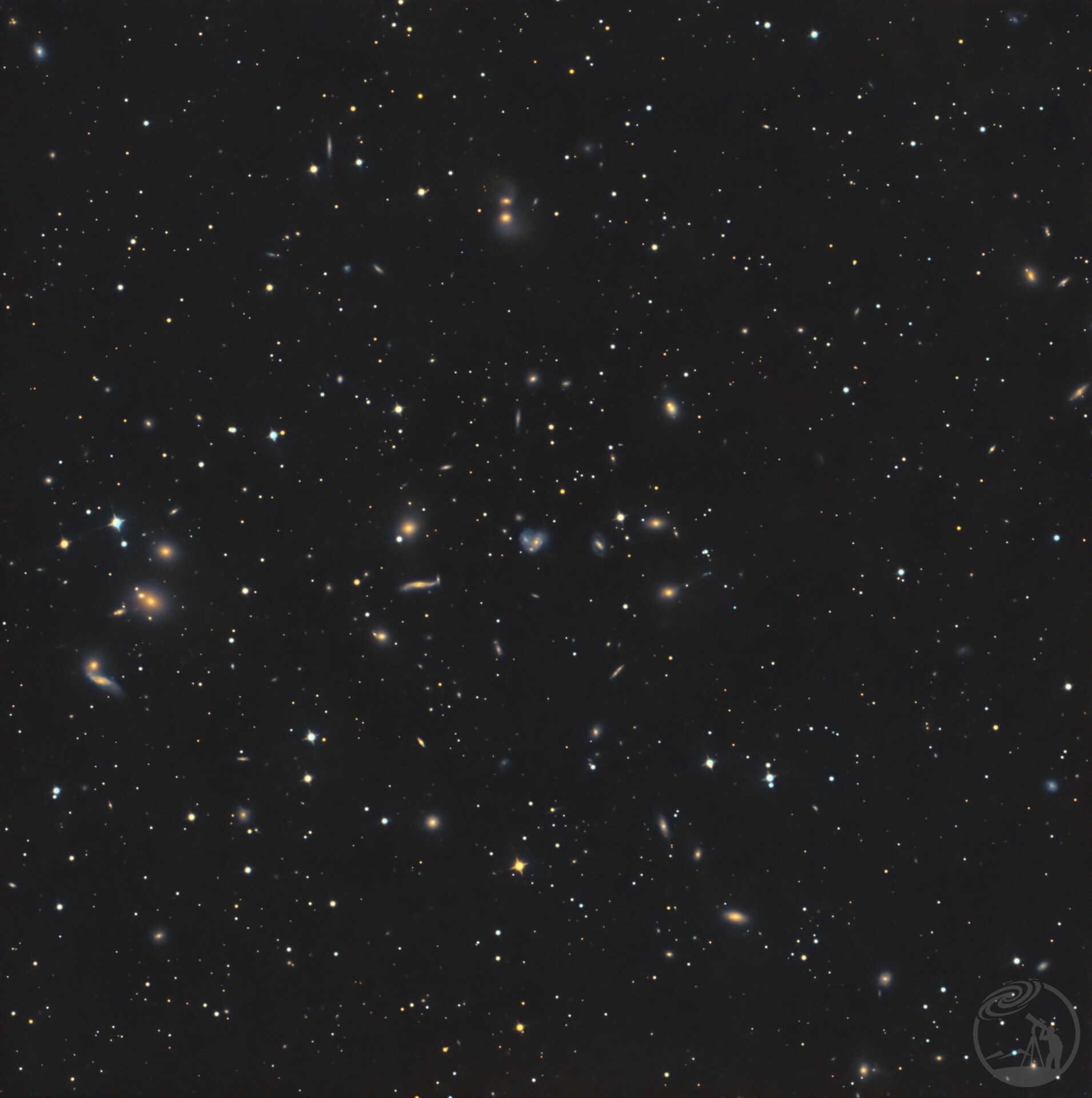 武仙座星系团  NGC6050