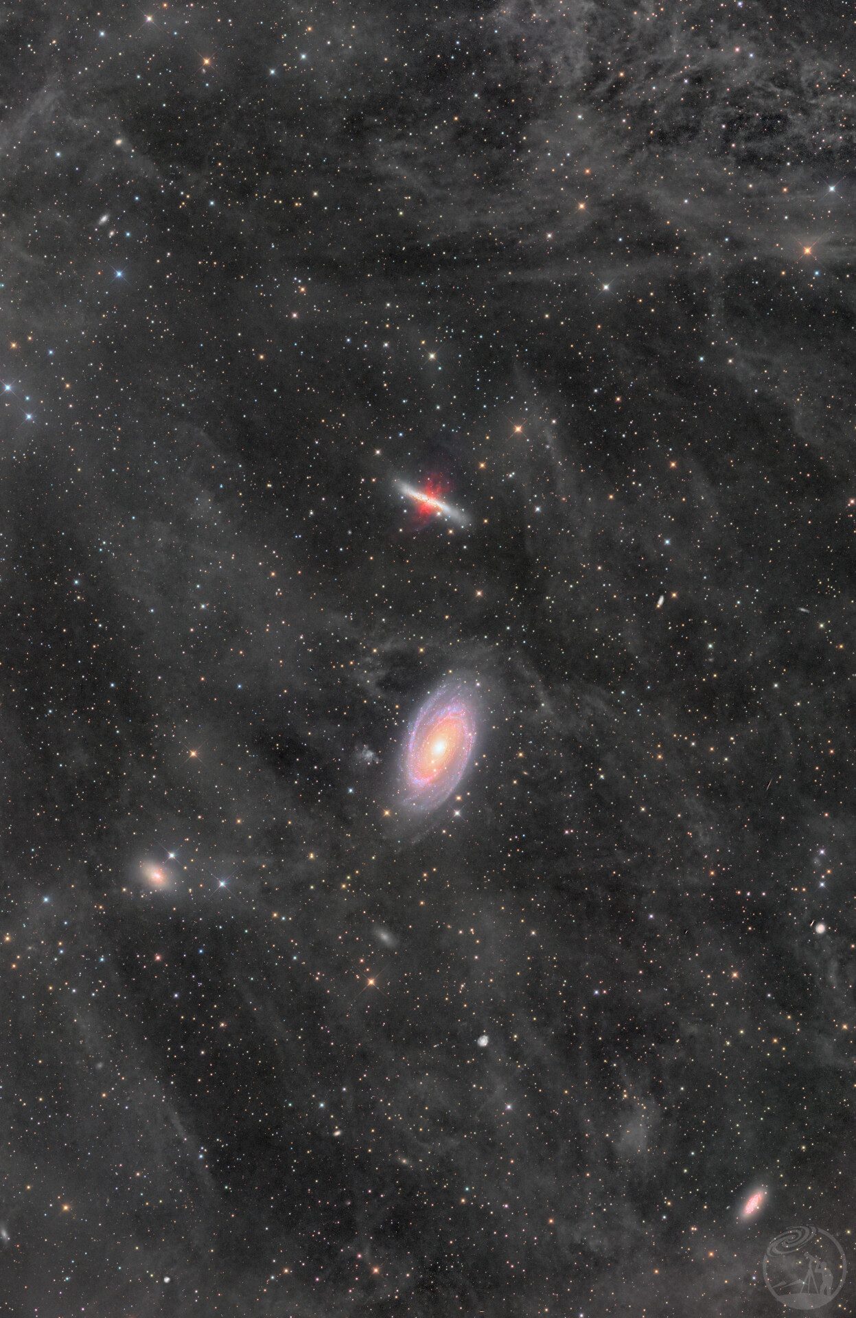 M8182与IFN的共舞