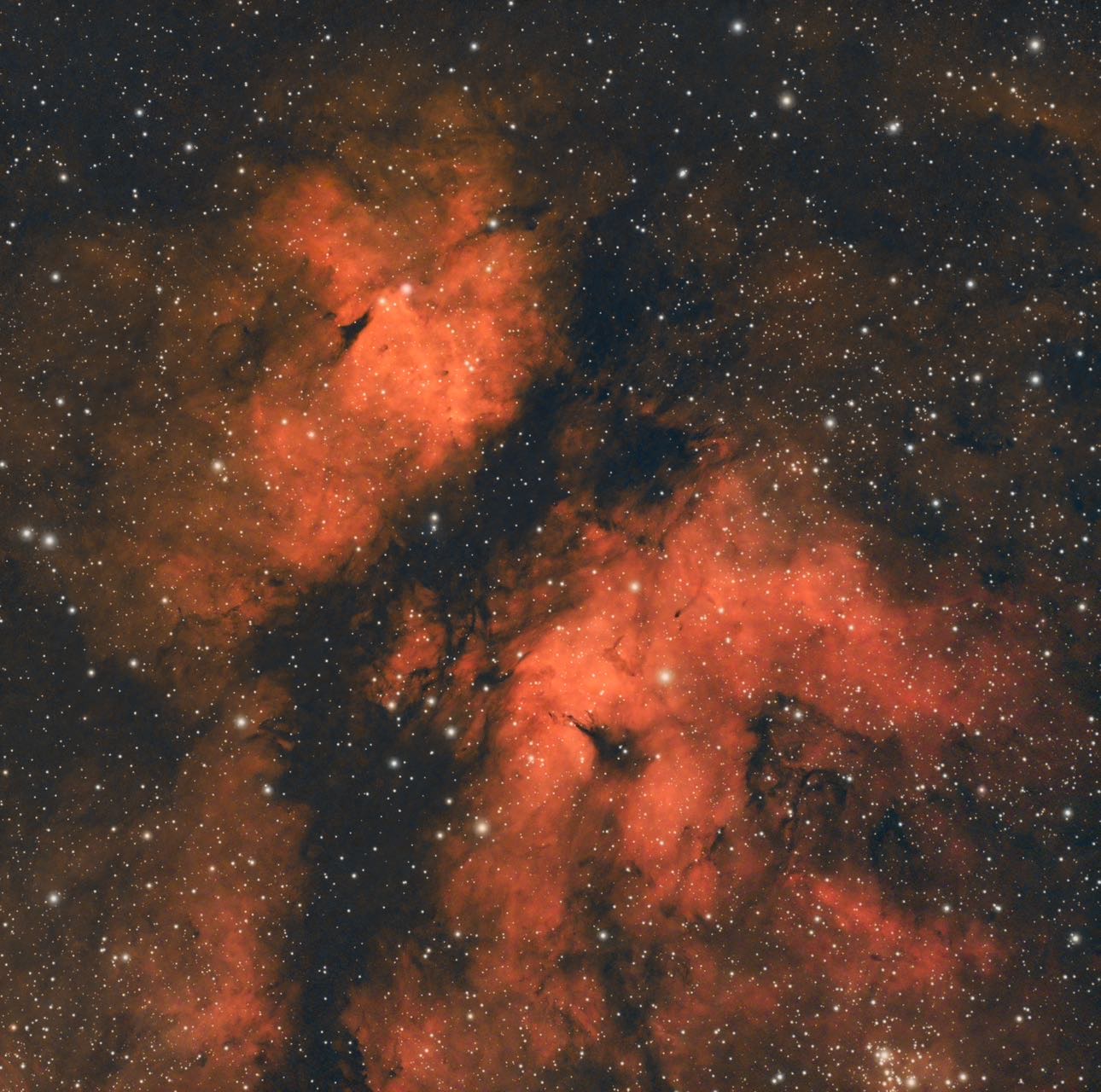 ic1318蝴蝶星云