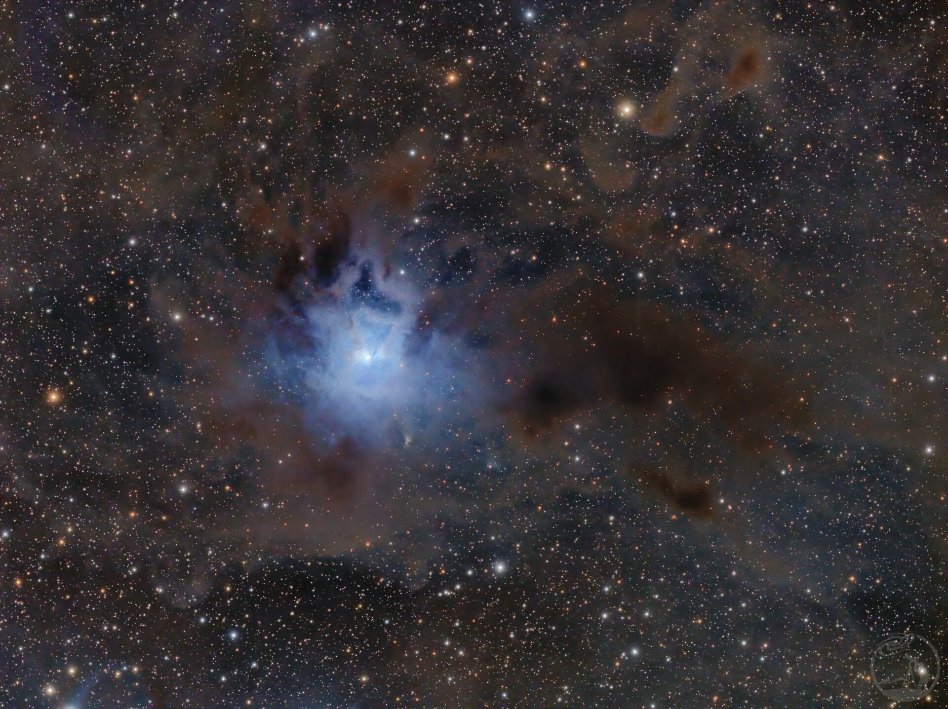 ngc7023 鸢尾花