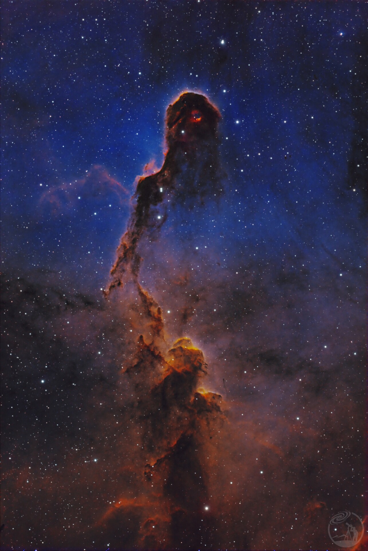 IC1396