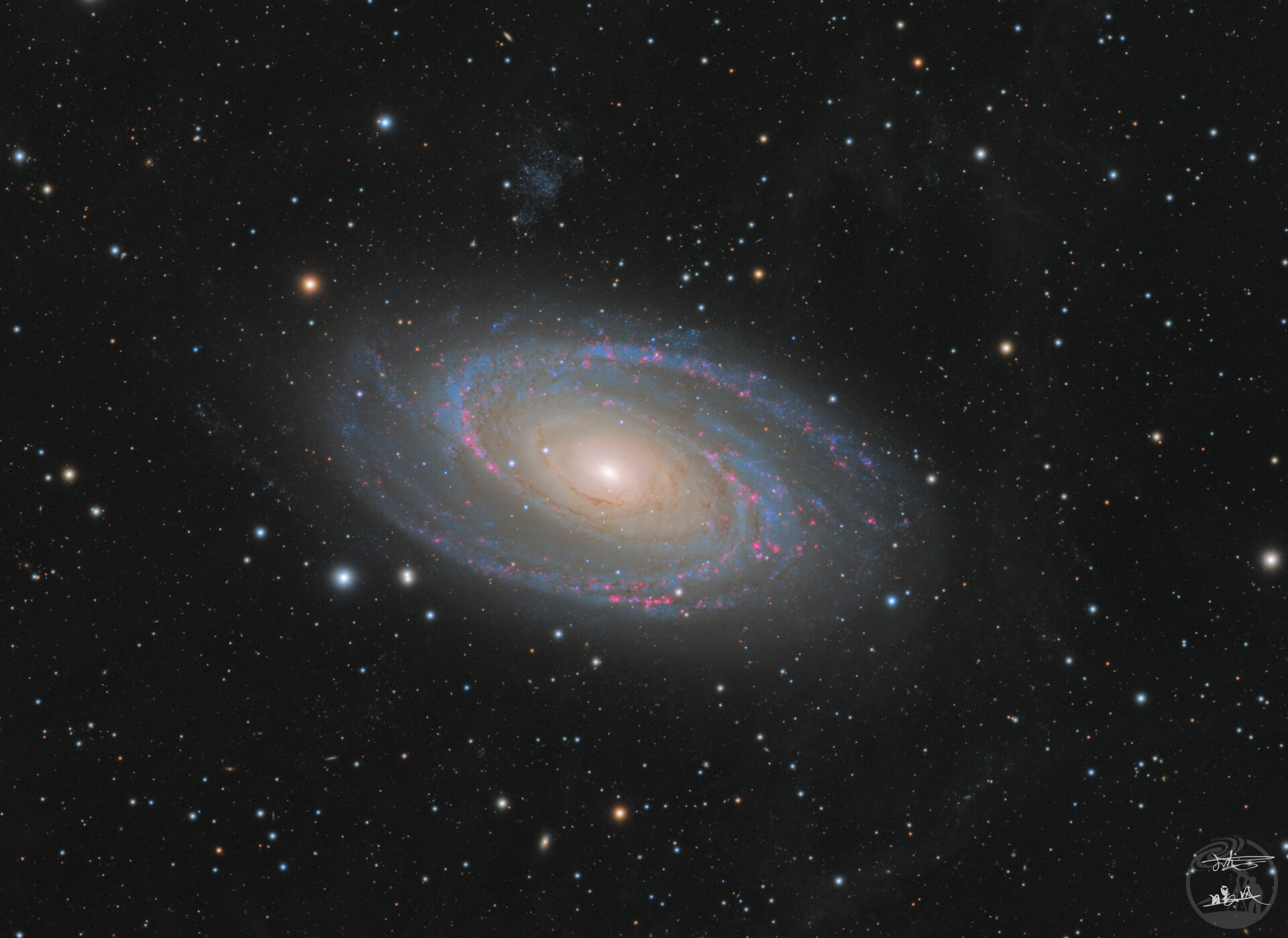 M81