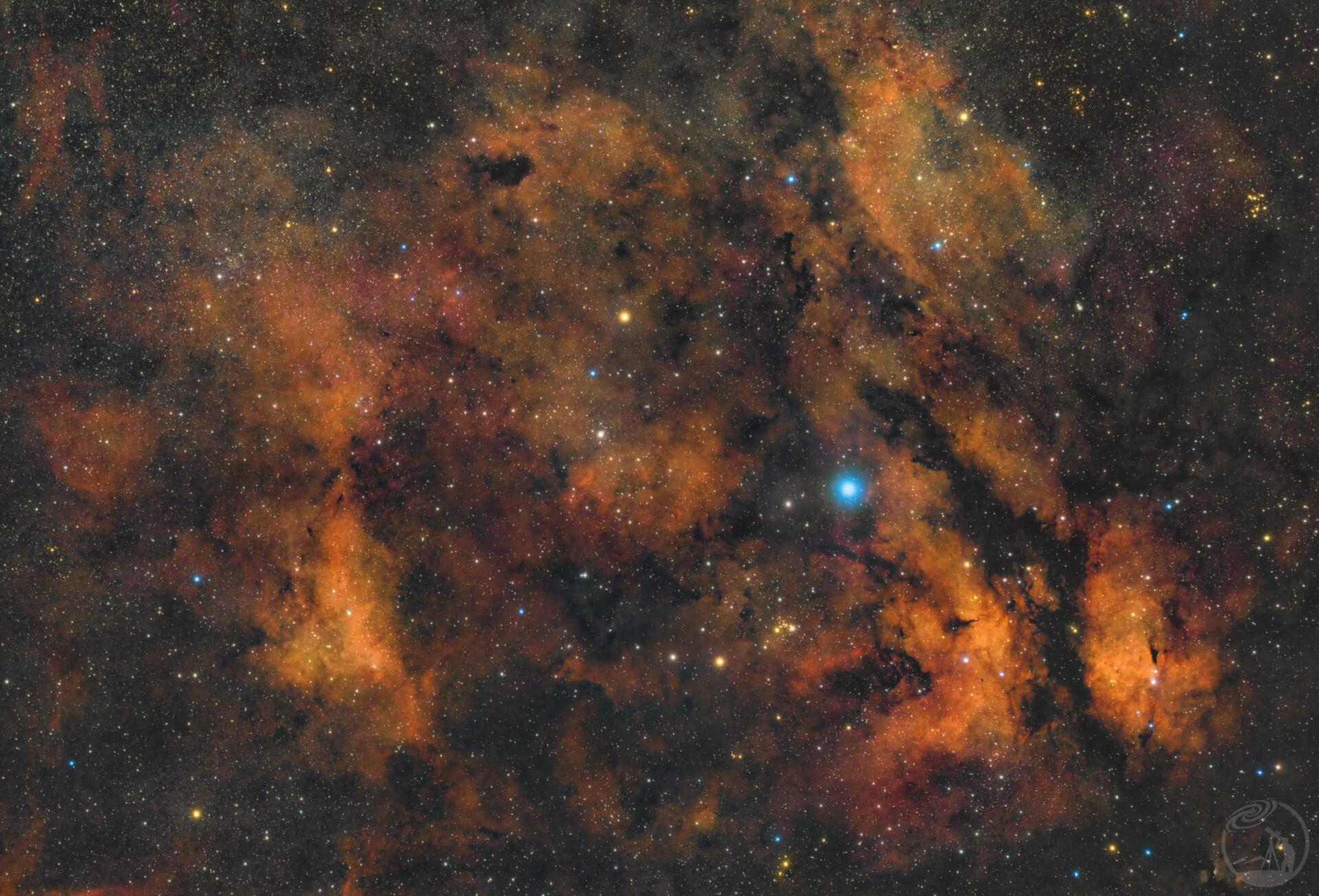 IC1318 Sadr