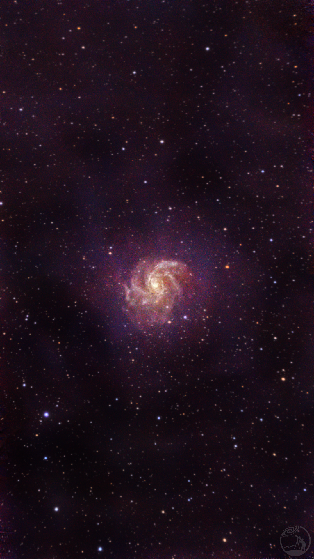 NGC6946焰火星系 振旺s50拍摄