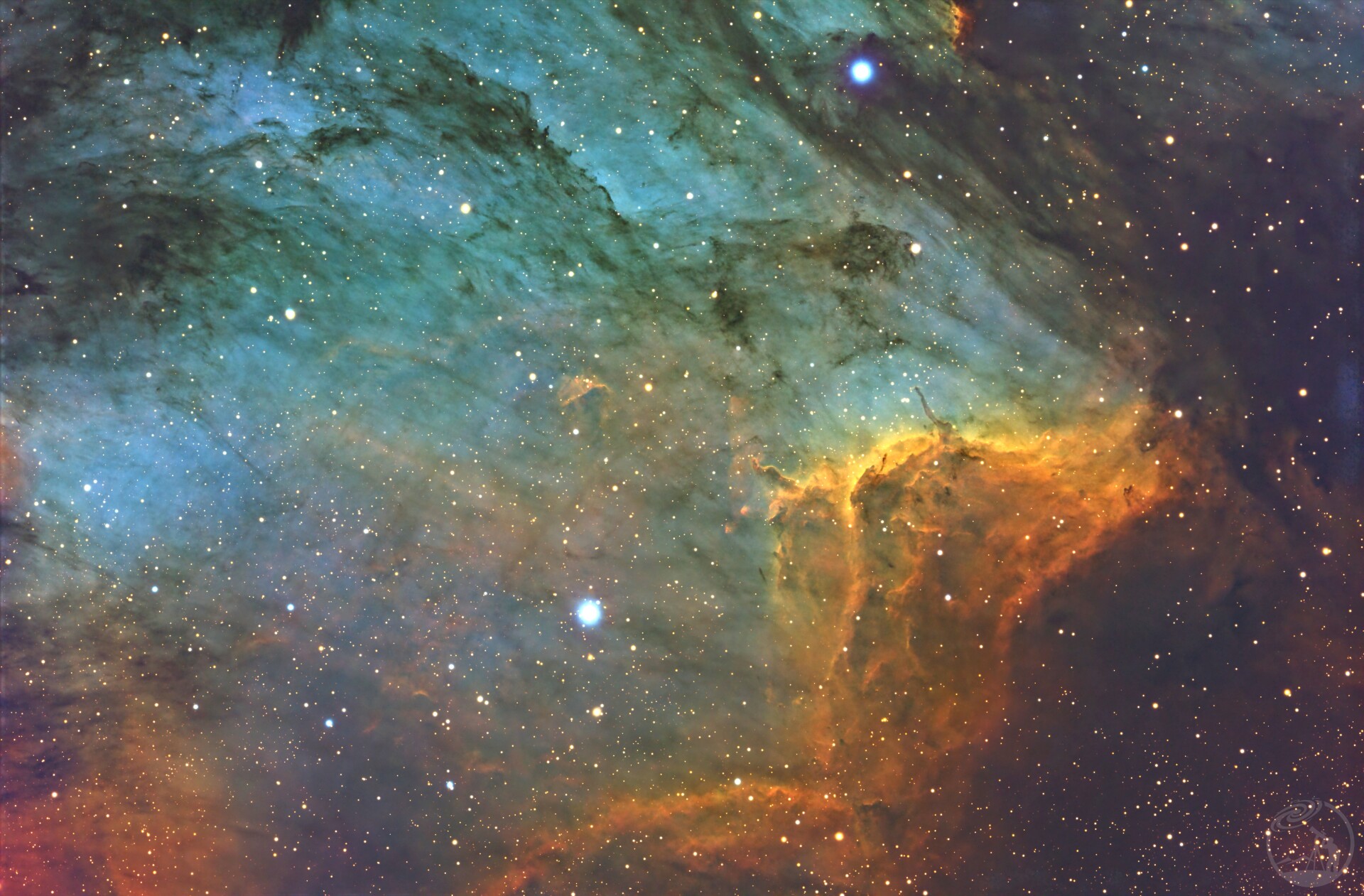 IC 5070 鹈鹕星云（Pelican Nebula）