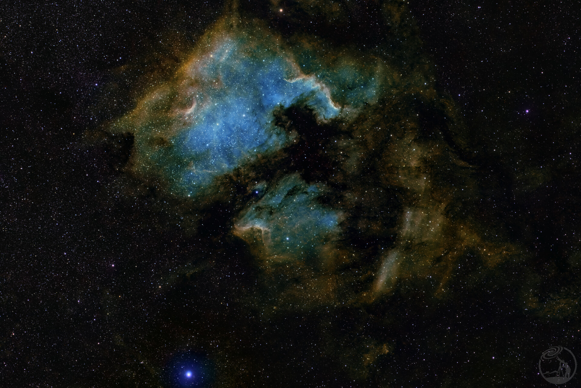 NGC7000和鹈鹕