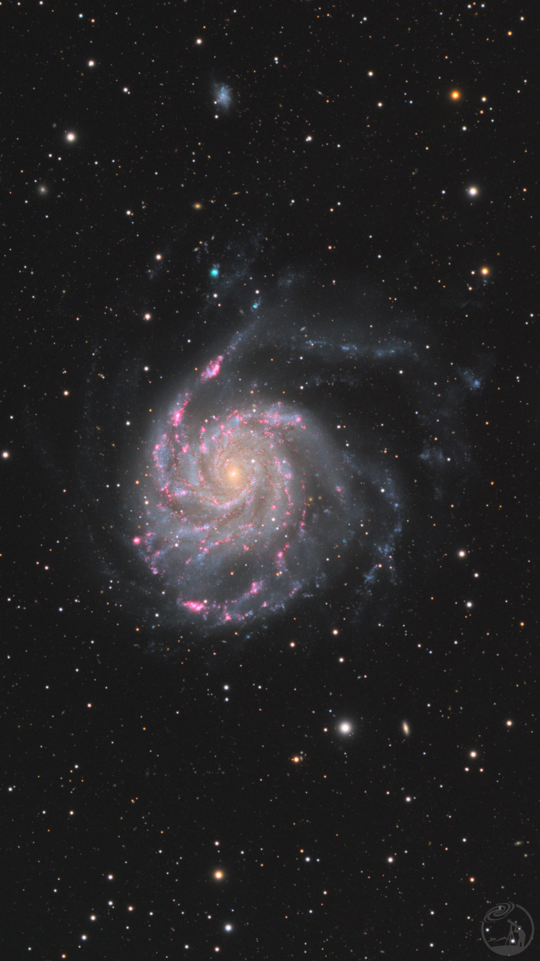 M101