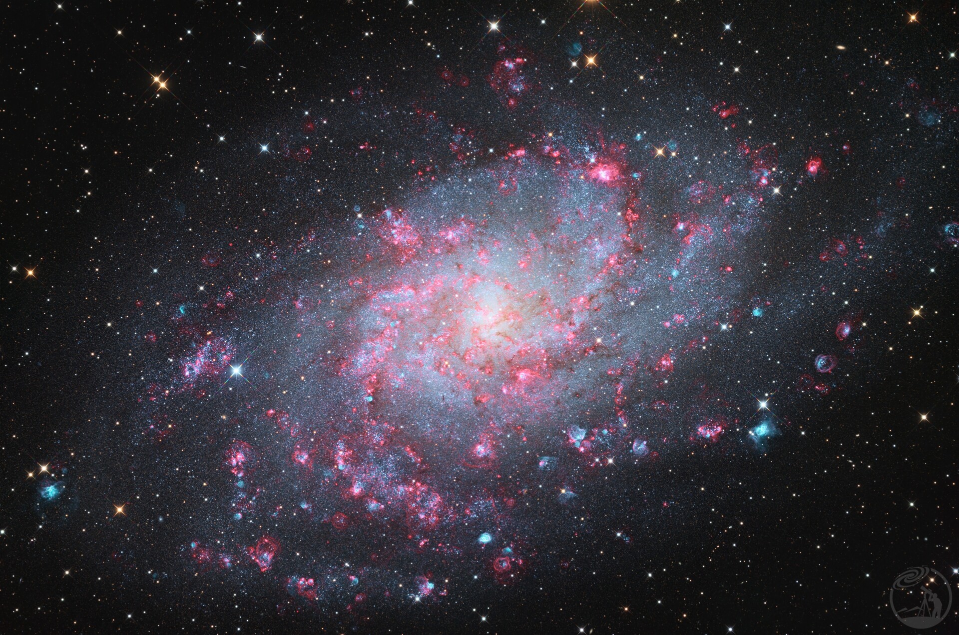 M33