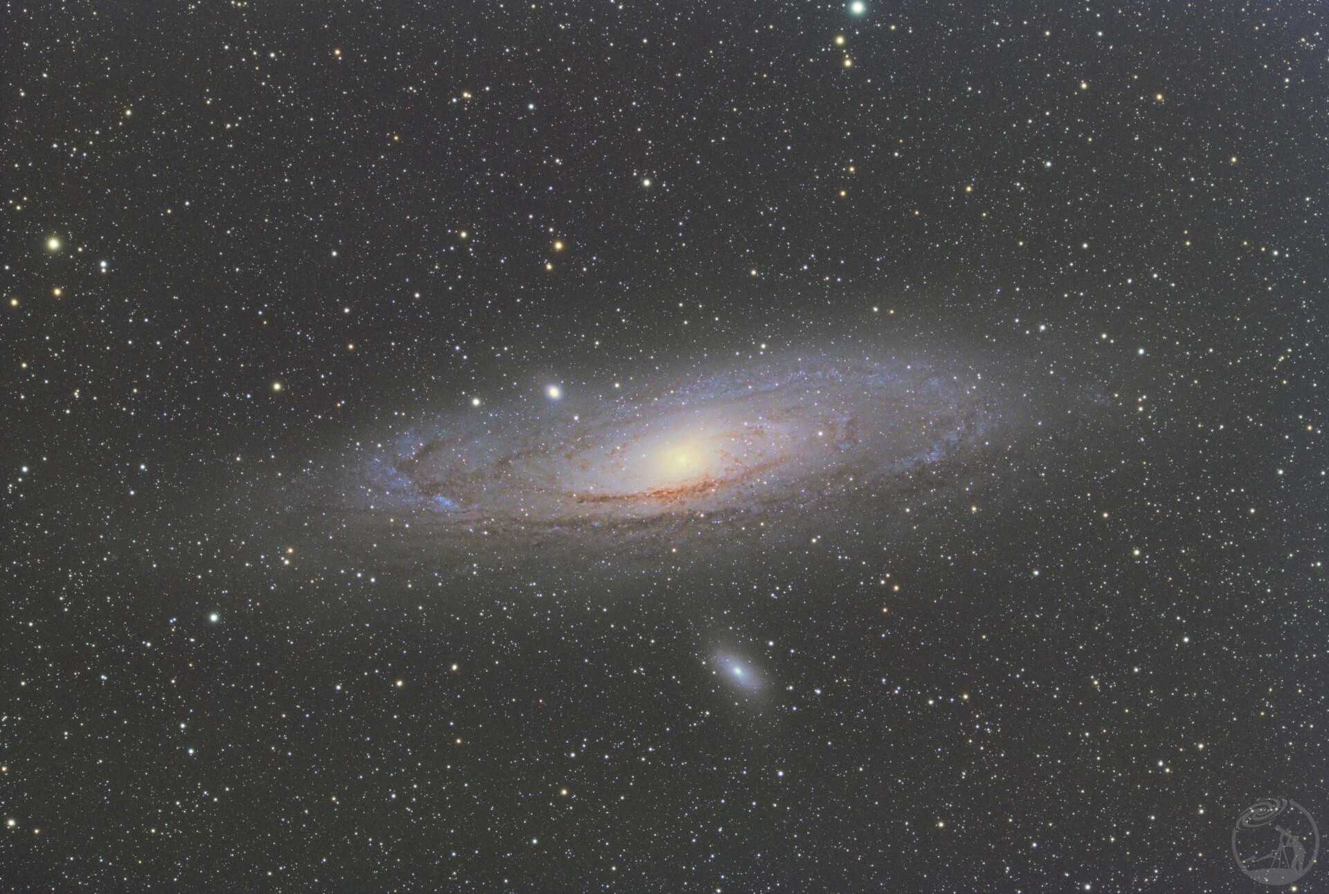 M31