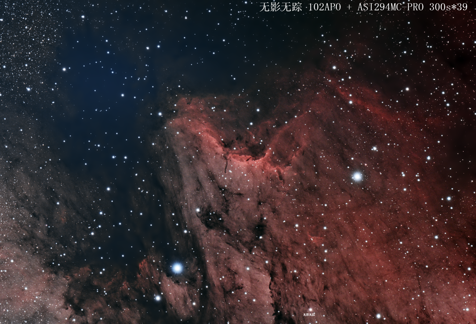 IC5070鹈鹕星云