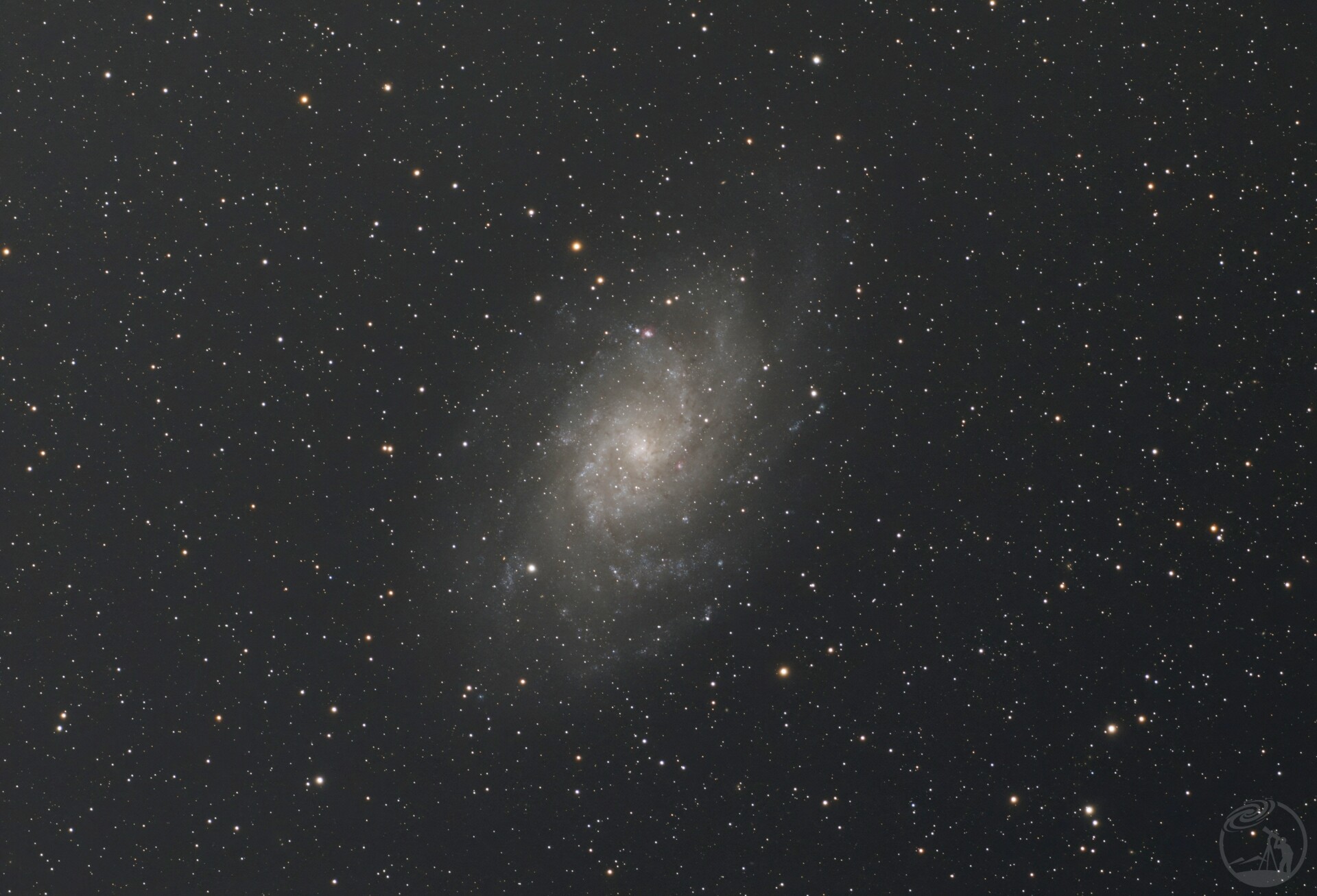 M33