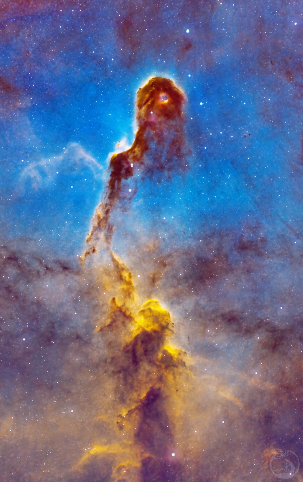 IC1396