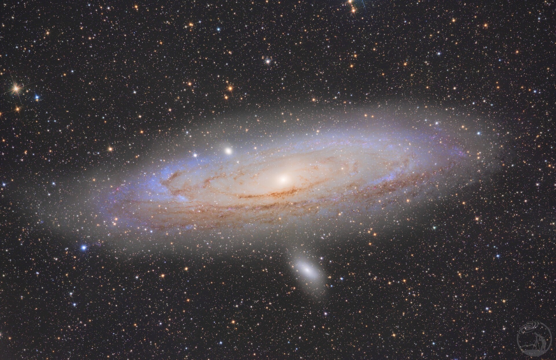 M31