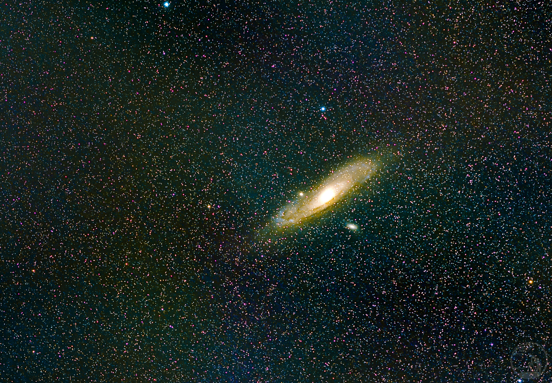 M31