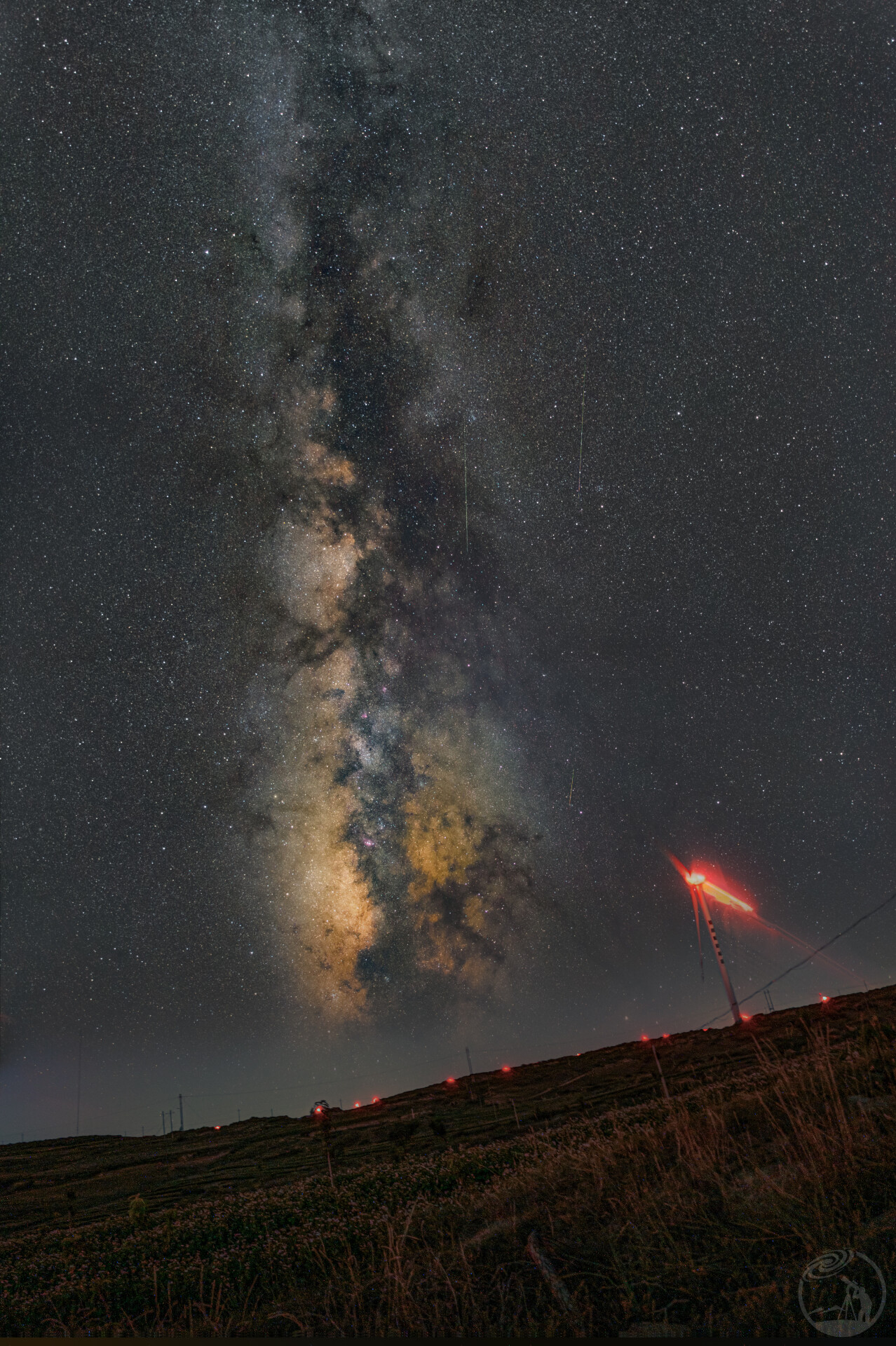 星垂平野阔