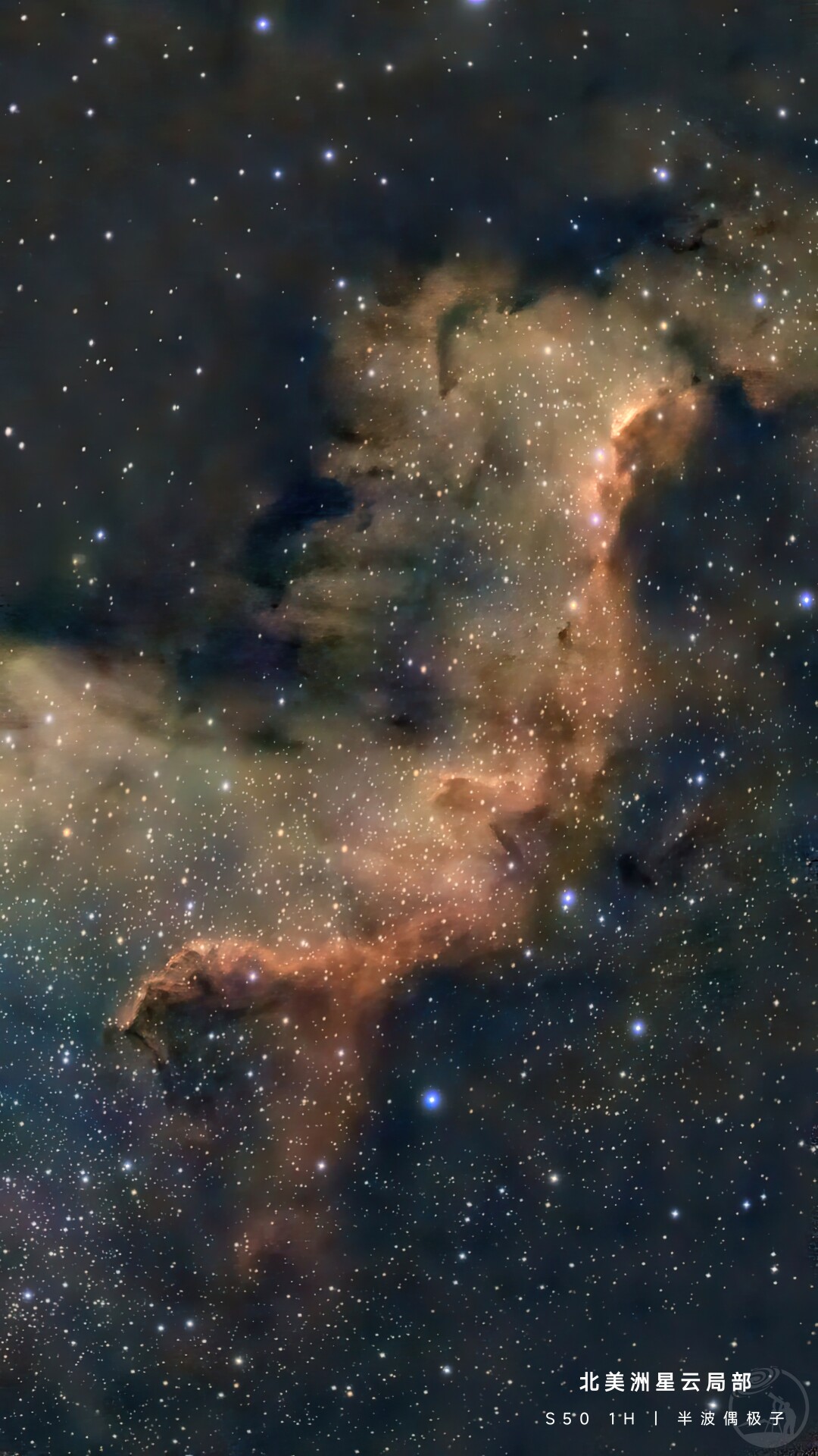 ngc7000北美洲星云 振旺s50