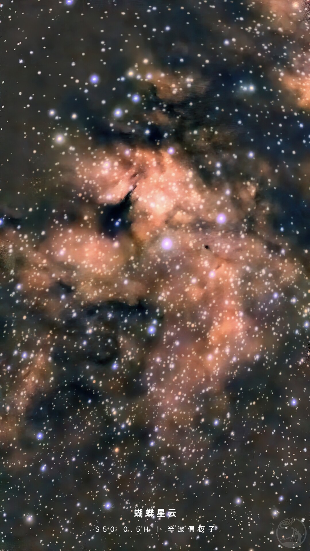 IC1318B蝴蝶星云