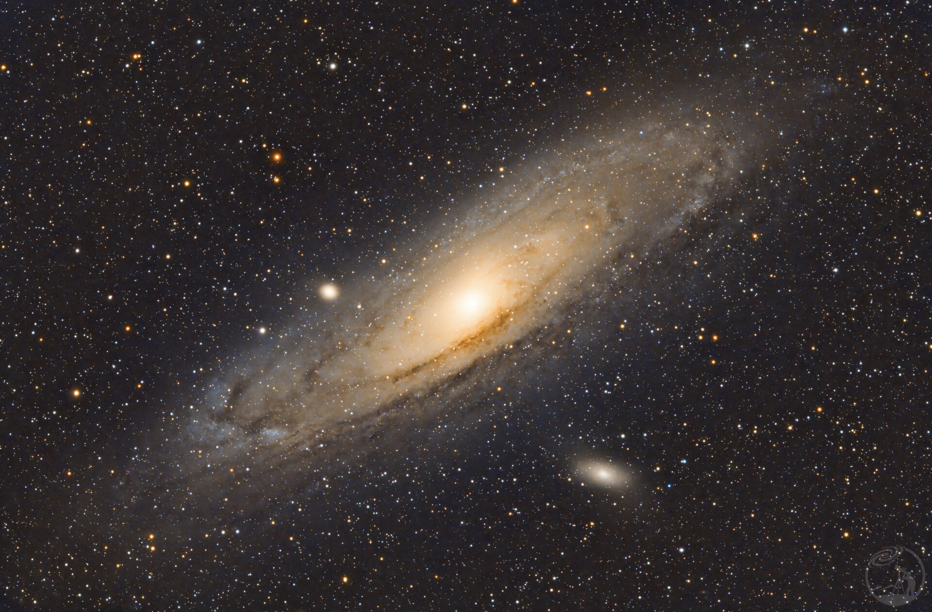 M31